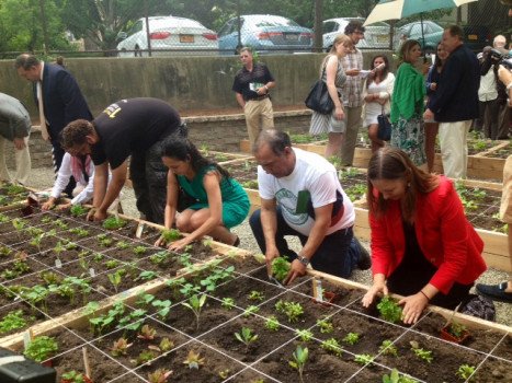 Собственный капитал: Bronx Affordable Housing Group применяет философию к общественному саду