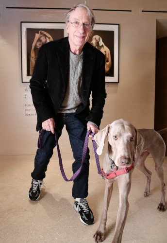 «Собаки Макса Мары в выставке Coats» в Нью-Йорке прошлой ночью